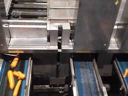 Newtec CELOX optical sorting machine