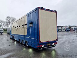 Volvo FH 500 4x2 + 2 deck livestock - Ventilation - M...