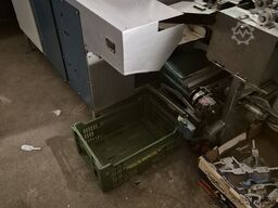 STRAPACK  mit Netzklipper  Äpfel und Kar Type  EW 20