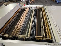 Heidelberg Herkuless