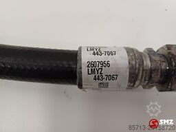 Caterpillar Hose Caterpillar