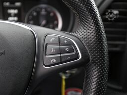 Mercedes-Benz Vito 116 CDI Kasten Extralang Holz Kamera DAB