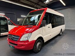 MERCEDES-BENZ Sprinter 516 City 65 EvoBus Automatik Dachklima