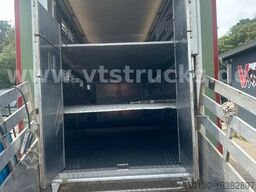 Stehmann AZV-18 3.Stock Viehanhänger,Hubdach