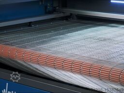 Wattsan 1610 Cam conveyer