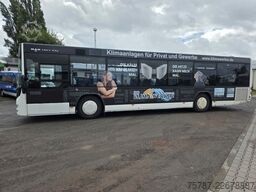 MAN Lions City LE  Überland Niederflurbus 41+40+1+1