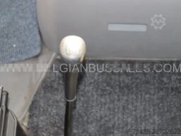 Mercedes-Benz Vario / 813D / Euro 5 / 8,5m