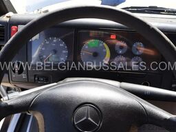 Mercedes-Benz Vario / 813D / Euro 5 / 8,5m