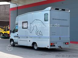 RENAULT Master Maxi 160CDi BÖCKMANN 3 Pferde Wohnteil