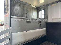RENAULT Master Maxi 160CDi BÖCKMANN 3 Pferde Wohnteil