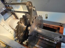 WEINIG Variorip 310M