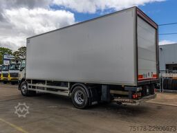 DAF LF55 250+FRIGO MONO TEMP+HAYON