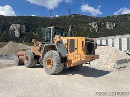 Case 921 C/2