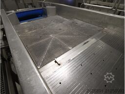 Odenberg Alpha