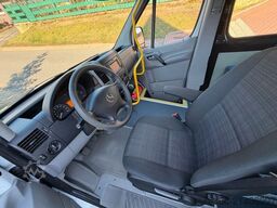 MERCEDES-BENZ Sprinter 313 Cdi 9Sitze+Rollstuhllift Klima Navi