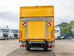 MAN TGM 18.250 BL + DHOLLANDIA 2T.