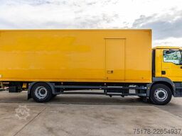 MAN TGM 18.250 BL + DHOLLANDIA 2T.