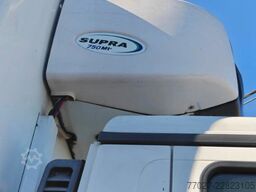 MAN TGM 18.290 Carrier Supra 750 Mt