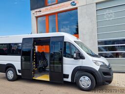 Opel Movano Bürgerbus Fiat Peugeot