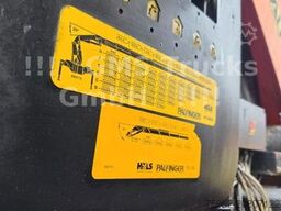 DAF 95XF / 8X4 / 35m Palfinger Kran PK 90002 / Winch