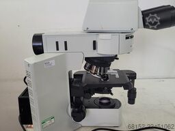 Olympus BX51TF