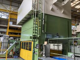 IMV DM 125