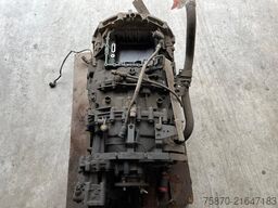 Ballex Gregorczyk Ireneusz Ballex Gregorczyk Ireneusz Ballex Gregorczyk Ireneusz