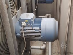 Kälte-Muschler MK 803 W-N 51
