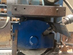 Rosa Ermando LINEA L 20