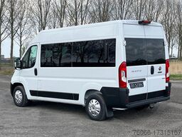 Fiat Ducato L2H2 Mini Bus (10 units)