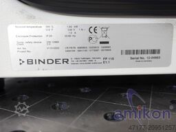 Binder Materialprüfschrank FP 115 300°C