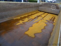 Iveco Trakker 450 8X4 Meiller