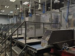 Onion processing line-full peeling line