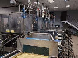 Onion processing line-full peeling line