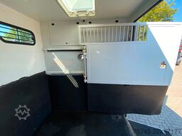 RENAULT Theault Proteo   5 Sitzer  Haras / Hengste