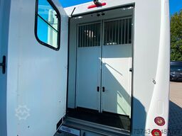 RENAULT Theault Proteo   5 Sitzer  Haras / Hengste
