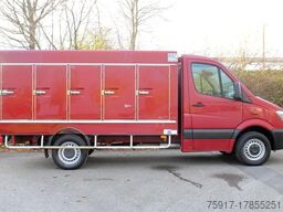 MERCEDES-BENZ Sprinter 310 Cold Car 5+5 Türen -33°C ATP 06/26
