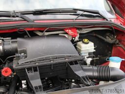 MERCEDES-BENZ Sprinter 310 Cold Car 5+5 Türen -33°C ATP 06/26