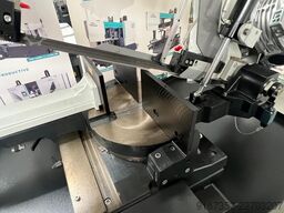 PEGAS-GONDA 300x320 SHI-LR-CZ