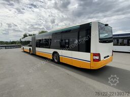 MAN A 23 Lions City