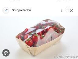 Gruppo Fabbri Vignola CLIXA24-B 293 XR -  ELIXA 24
