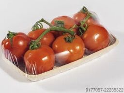 Gruppo Fabbri Vignola CLIXA24-B 293 XR -  ELIXA 24