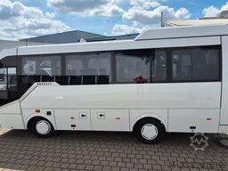 TEMSA 8 units Prestij SX,Novo Lux, Daily, Atego