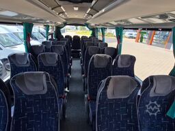 TEMSA 8 units Prestij SX,Novo Lux, Daily, Atego