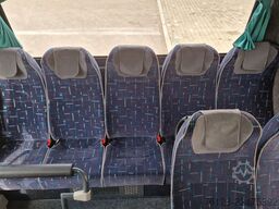 TEMSA 8 units Prestij SX,Novo Lux, Daily, Atego