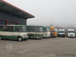 MERCEDES-BENZ Sprinter III Kasten  519 CDI RWD 4x 4 Allrad