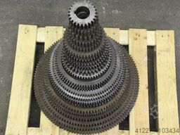 Braun Zerbst 23 Stück