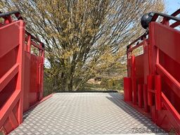 MERCEDES-BENZ 308D Dahms&Co Flughafenfeuerwehr Rettungstreppe