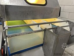 Agroselector sorting machine