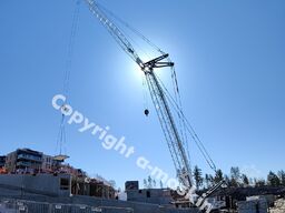 LIEBHERR LR 1160.1.